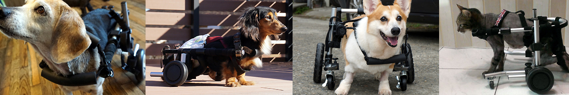 犬用車椅子・猫用車椅子